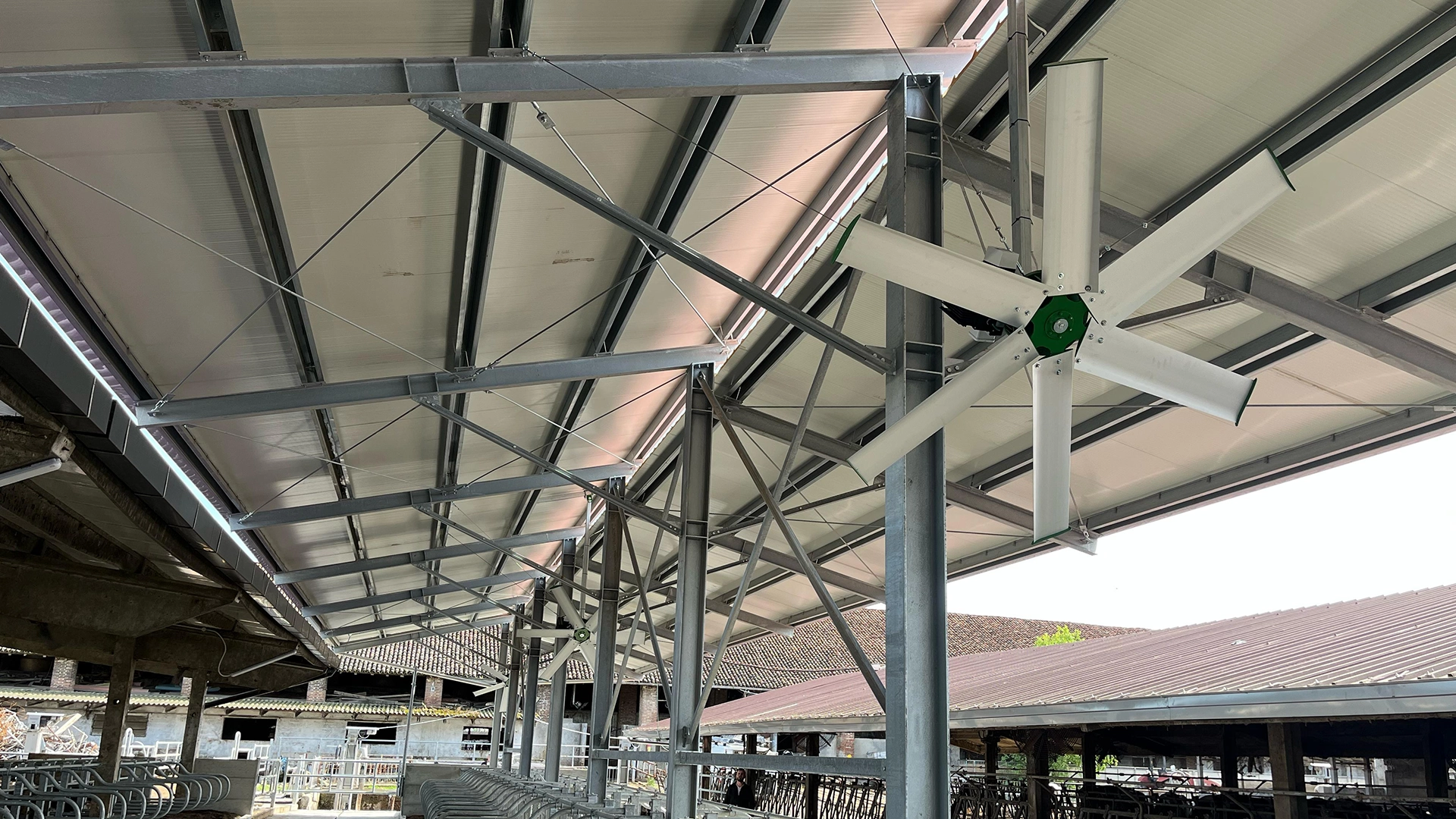 Ventilazione stalle Arienti Brushless BigFan